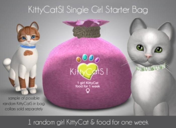 KittyCatS! Single Girl Kitten