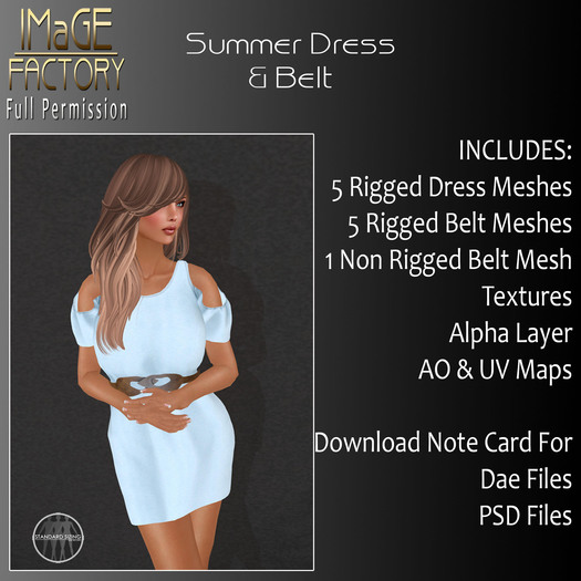IFMC DEMO SummerDressBelt