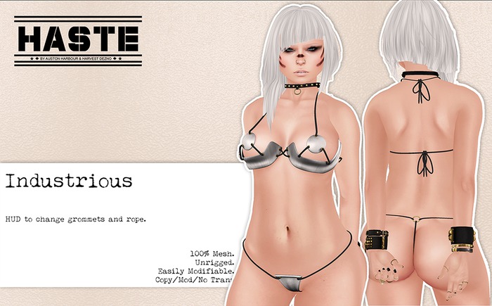 [Haste] Laced Up Corset - Zebra