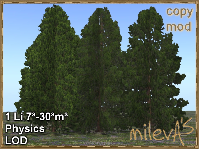 milevA's 1F Tree Hinoki 3x4