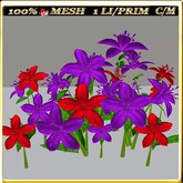 LW_LilyFlowerFuschia