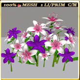 LW_LilyFlowerFuschia