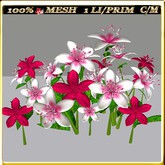 LW_ 28 Lilies - 4 (1 LI / Prim)