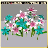 LW_LilyFlowerFuschia