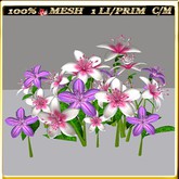 LW_LilyFlowerFuschia