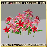LW_LilyFlowerFuschia