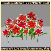 LW_LilyFlowerFuschia