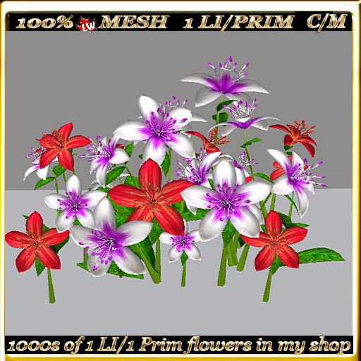 LW_LilyFlowerFuschia
