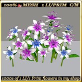 LW_LilyFlowerFuschia