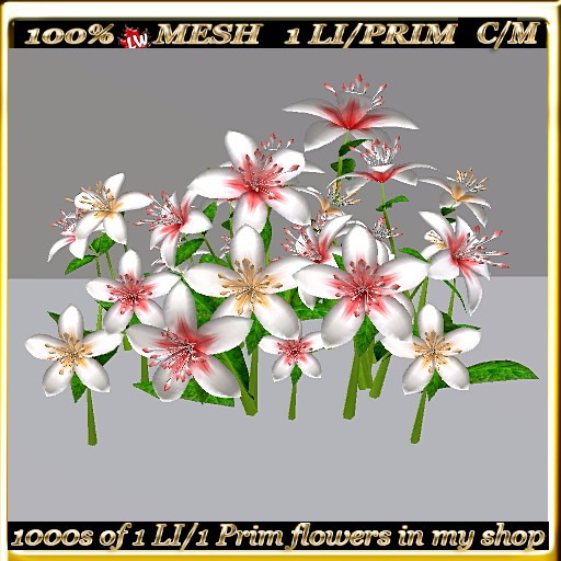 LW_ 28 Lilies - 41 (1 LI / Prim)