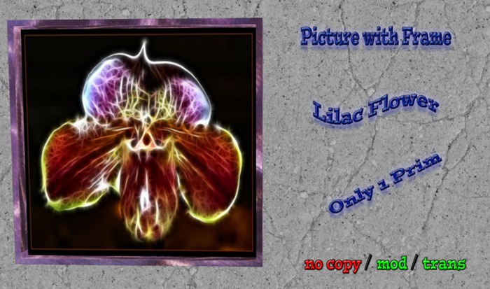 [Crazy] Lilac Flower