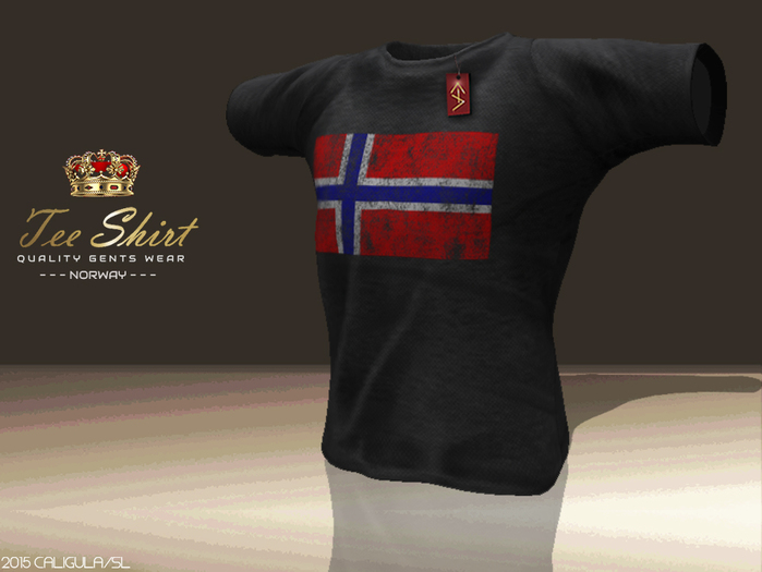 CA TEE GENTS NORWAY BLACK