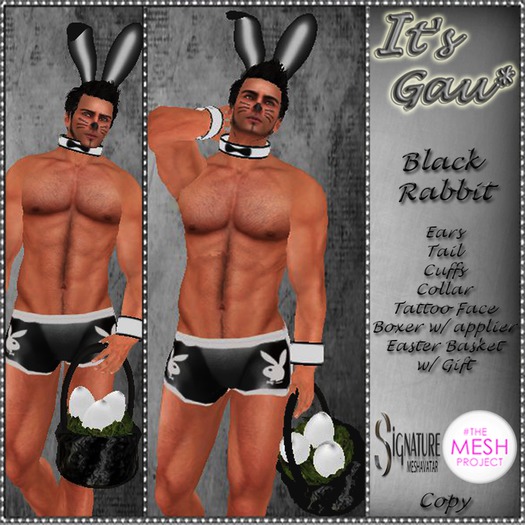 *It's Gau* Black Rabbit