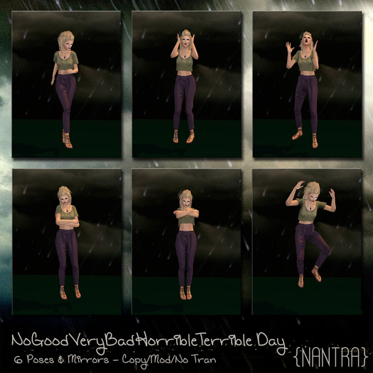 {NanTra}
