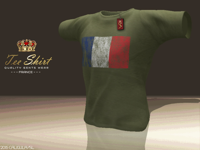 CA TEE GENTS FRANCE OLIVE