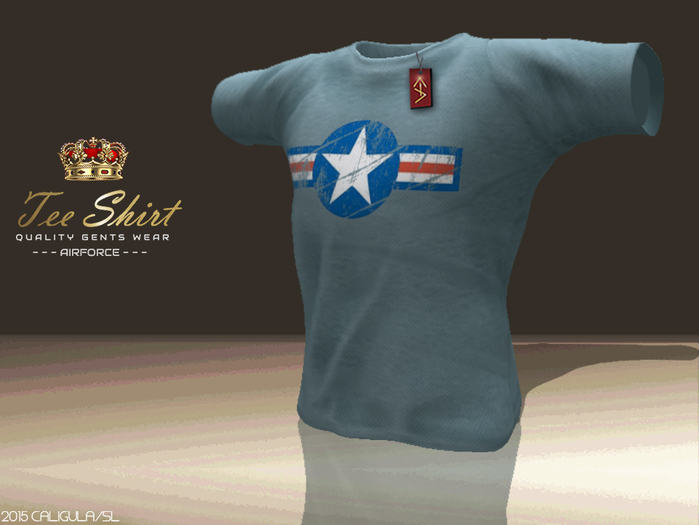 CA TEE GENTS AIRFORCE