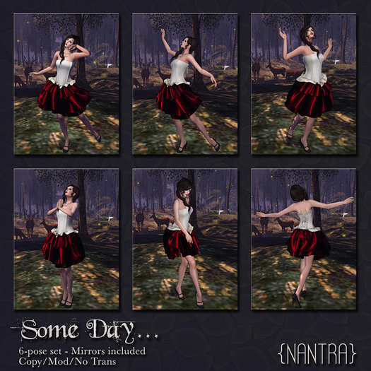 {NanTra} Some Day
