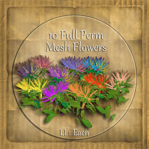 Bad Katz Mesh Flowers Set_1