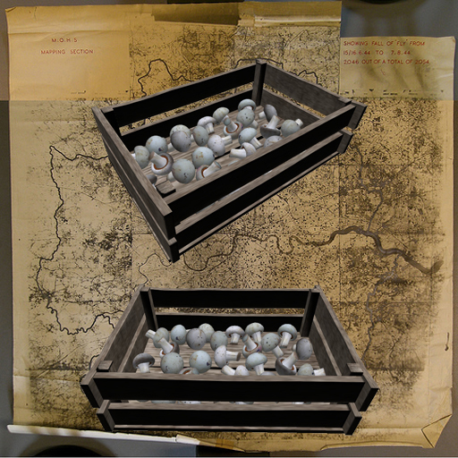 Mushroom Crate