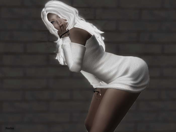 FMS POSES Poupoupidou