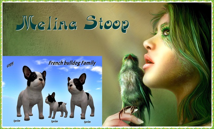 French bulldog Family  ( MP )