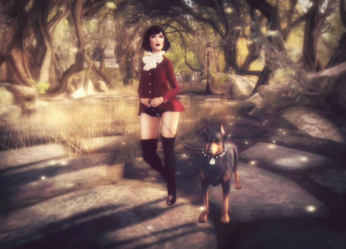 Dog walking