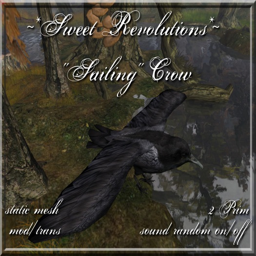~*SR*~ "Sailing" Crow with Sound m/t Box