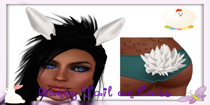 .::ECD::. Bunny Tail an Ears