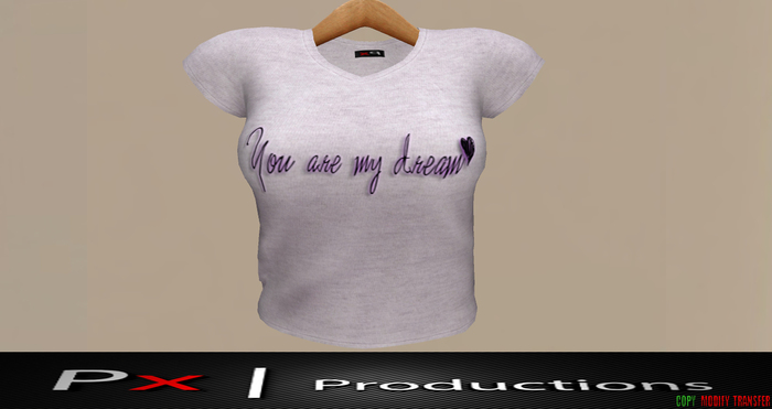 Mesh Ladies Tee Grey My Dream V2