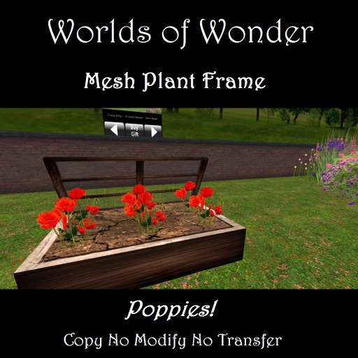 Pink magic Baptisia with butterflies (Boxed)