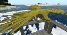 TM Bald Eagle - Bronze - mesh