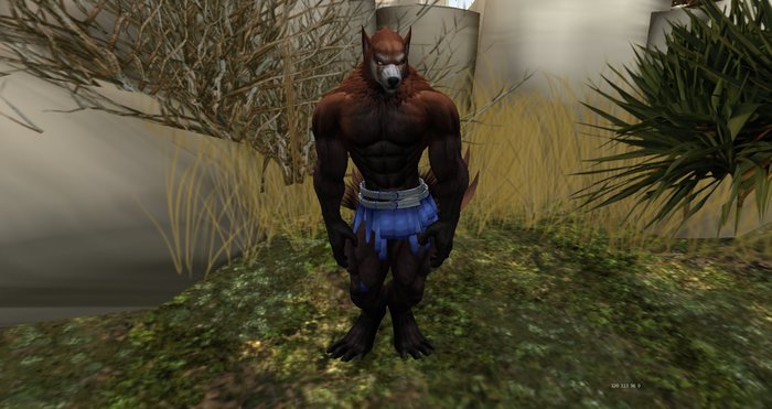 ::RMR:: Coleian Lt. Silver/Blue