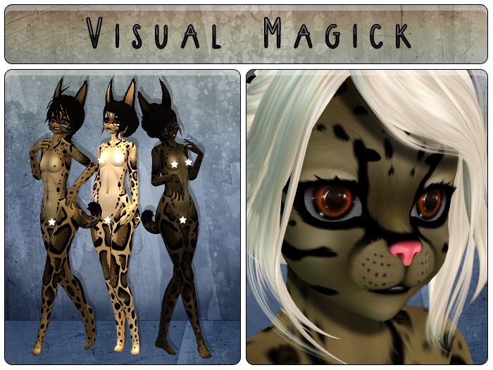 .: Visual Magick :. Clouded Leopard Mod
