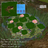 Froggy pond ( roaming frog )