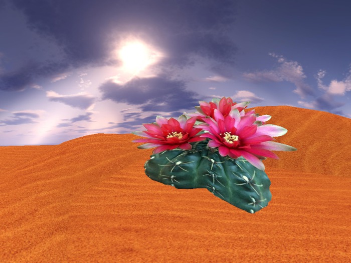 Cactus Brush Flowered 3