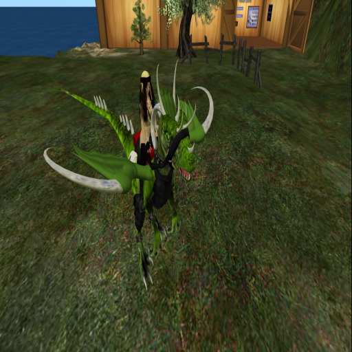 Raptor accesories