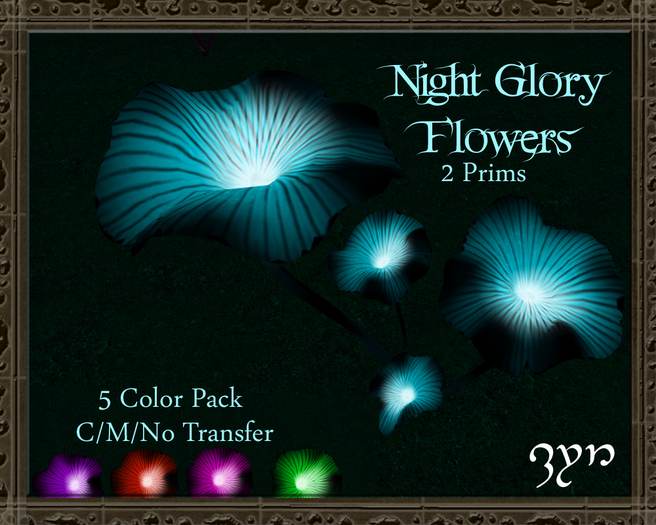 Zyn ~ Night Glory Flowers