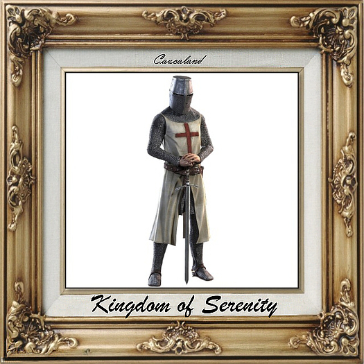 Caucaland Kingdom Knight armour 9'