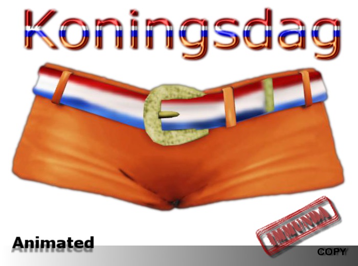 immunda Koningsdag Booty Shorts