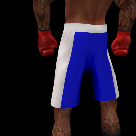 Mens Plain Blue Shorts