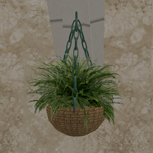 Hanging Fern Potted Plant