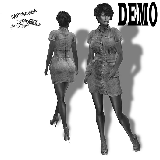 Denim Tunic Dress DEMO