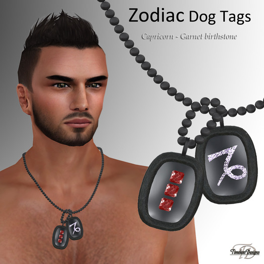 *TD* Zodiac dog tag ~ Capricorn with Garnet birthstone    BX