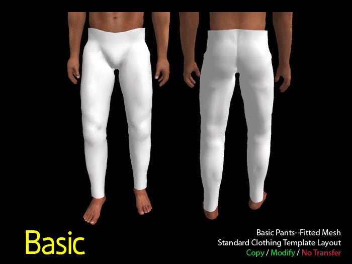 Basic Pants--Fitted Mesh