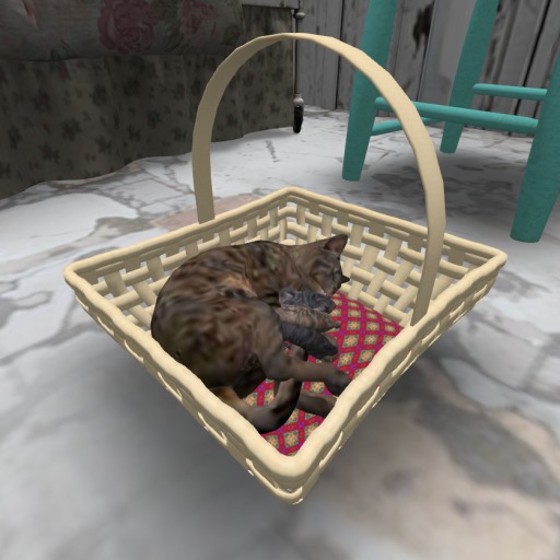 Cat with kittens BROWN BOXED
