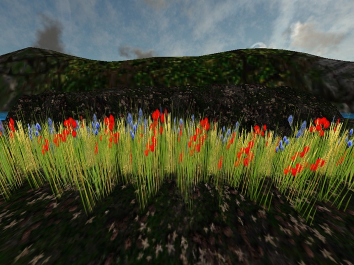 Grass Poppies Meadows - Row