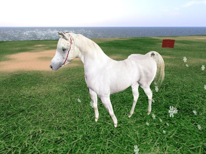 ROAMING SCULPTED HORSE !