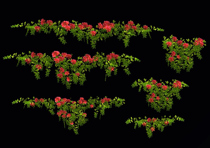 Plants Mesh - Collection