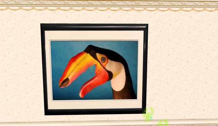 tucano