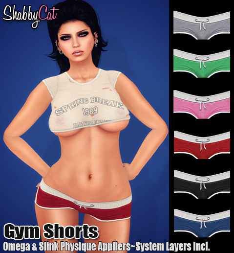 ~Shabby Cat Gym Shorts (gray)~